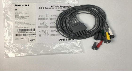 PHLIP Efficia 再利用可能 5 鉛電球電球電球電球電球 電球電球電球 電球電球 電球電球 電球電球 電球電球 電球電球 電球電球 電球電球 電球電球 電球電球 電球電球 電球電球 電球電球 電球電球 電球電球 電球電球 電球電球電球 電球電球電球