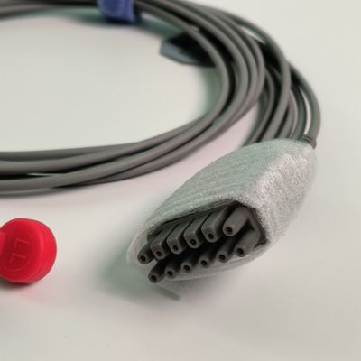 IT20 ECG テレメトリ リードワイヤ 5 リード アメリカンスタンダード バックルスタイル REF EL05DASY1